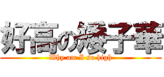 好高の矮子華 (Why am I so high)