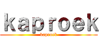 ｋａｐｒｏｅｋ (kaproek)