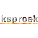 ｋａｐｒｏｅｋ (kaproek)