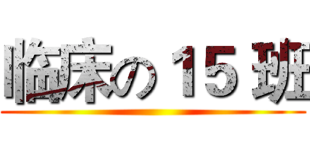 临床の１５ 班 ()