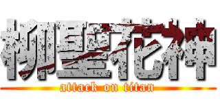 柳聖花神 (attack on titan)