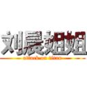 刘晨姐姐 (attack on titan)