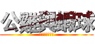 公雞與蝦球 (跨越種族的愛情)