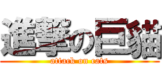 進撃の巨貓 (attack on cats)