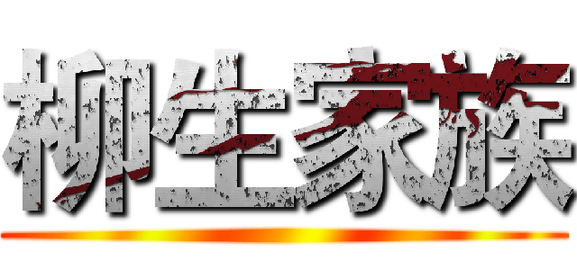 柳生家族 ()