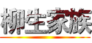 柳生家族 ()