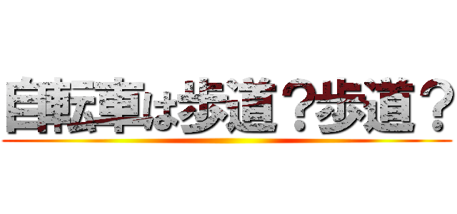 自転車は歩道？歩道？ ()