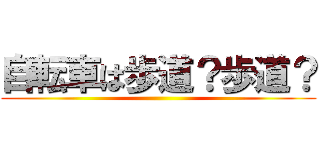 自転車は歩道？歩道？ ()