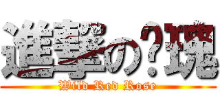 進撃の玫瑰 (Wild Red Rose)
