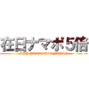 在日ナマポ５倍 (SPY PARADICE JAPAN)