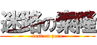 迷路の索隆 (lost on zoro)