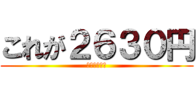 これが２６３０円 (安い！！！！)