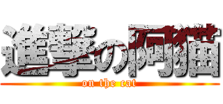 進撃の阿猫 (on the cat)