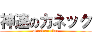 神速のカネック (attack on titan)