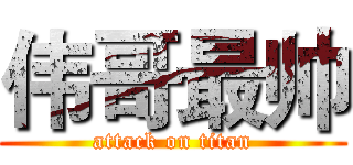 伟哥最帅 (attack on titan)