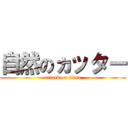 自然のヵッター (attack on titan)