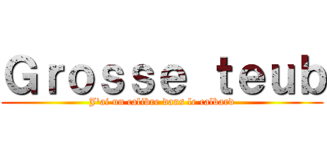 Ｇｒｏｓｓｅ ｔｅｕｂ (J'ai un calibre dans le calbard)