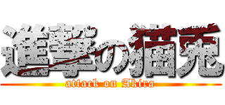 進撃の猫兎 (attack on Akira)