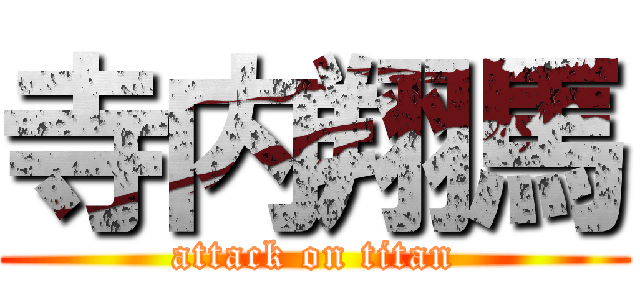 寺内翔馬 (attack on titan)