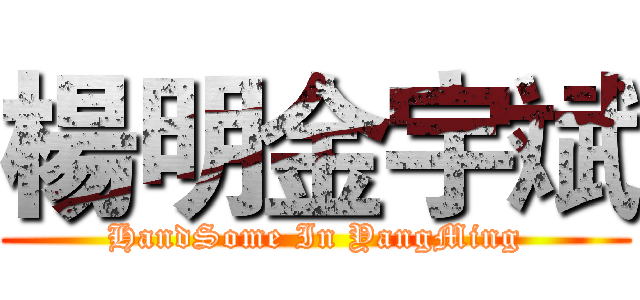 楊明金宇斌 (HandSome In YangMing)