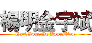 楊明金宇斌 (HandSome In YangMing)