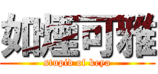 如煙可雅 (stupid of keya)