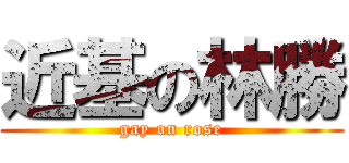 近基の林勝 (gay on rose)