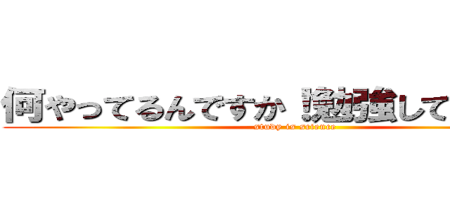 何やってるんですか！勉強してください！ (study is science )