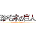 珍毛木の巨人 (attack on tingeaa)