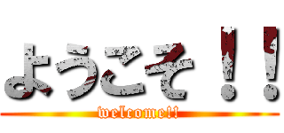 ようこそ！！ (welcome!!)