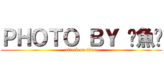 ＰＨＯＴＯ ＢＹ 鱔魚麵 (attack on titan)