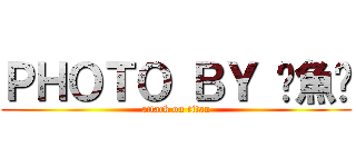 ＰＨＯＴＯ ＢＹ 鱔魚麵 (attack on titan)