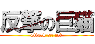 反撃の巨猫 (attack on cat)
