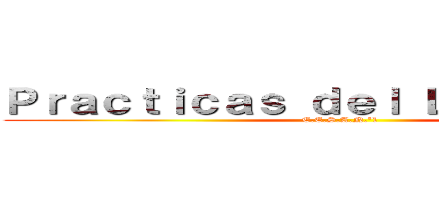 Ｐｒａｃｔｉｃａｓ ｄｅｌ Ｌｅｎｇｕａｊｅ (E.E.S.A.N.º1)