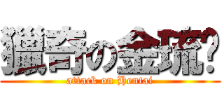 獵奇の金琉婷 (attack on Hentai)
