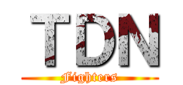 ＴＤＮ (Fighters)