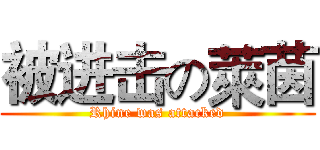 被进击の萊茵 (Rhine was attacked)