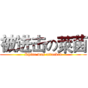 被进击の萊茵 (Rhine was attacked)