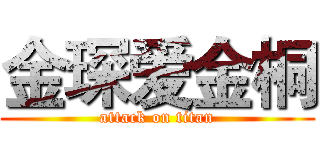 金琛爱金桐 (attack on titan)