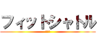 フィットシャトル (事故れ)