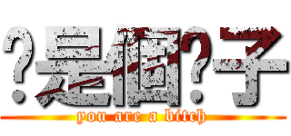 你是個婊子 (you are a bitch)