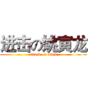 进击の姚寅龙 (attack on titan)