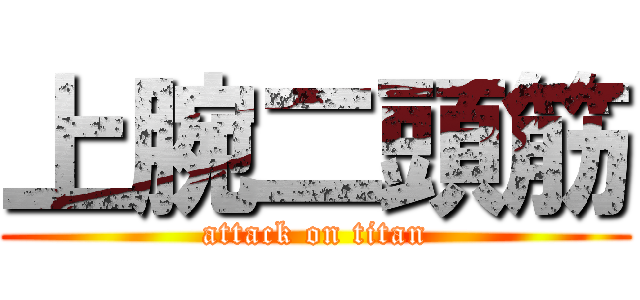 上腕二頭筋 (attack on titan)