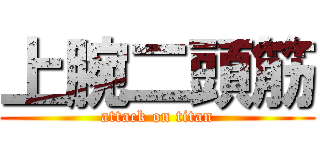 上腕二頭筋 (attack on titan)