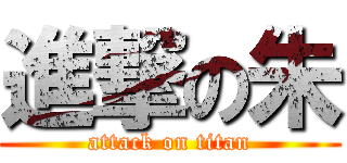 進撃の朱 (attack on titan)