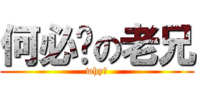 何必呢の老兄 (why?)