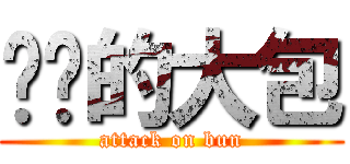 进击的大包 (attack on bun)