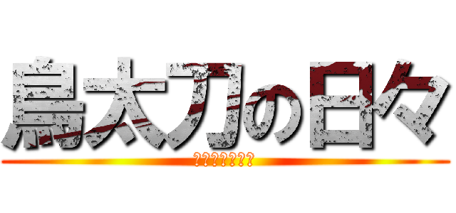 鳥太刀の日々 (審神者を添えて)