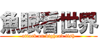 魚眼看世界 (attack on bighead fish)