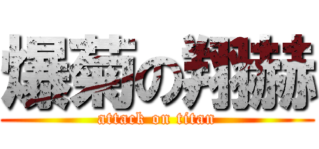 爆菊の翔赫 (attack on titan)